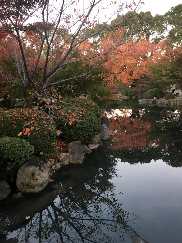 f:id:ayakokops:20181125210442j:image