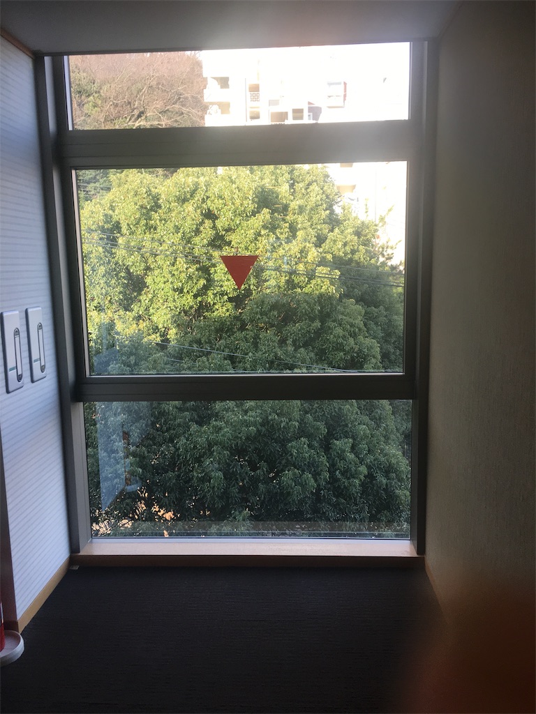 f:id:ayakokops:20191113065404j:image