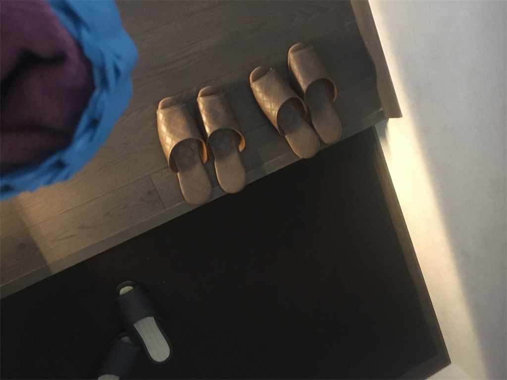 f:id:ayakokops:20191113120540j:image