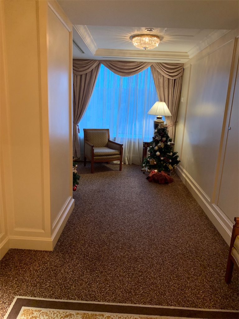 f:id:ayakokops:20191124090958j:image