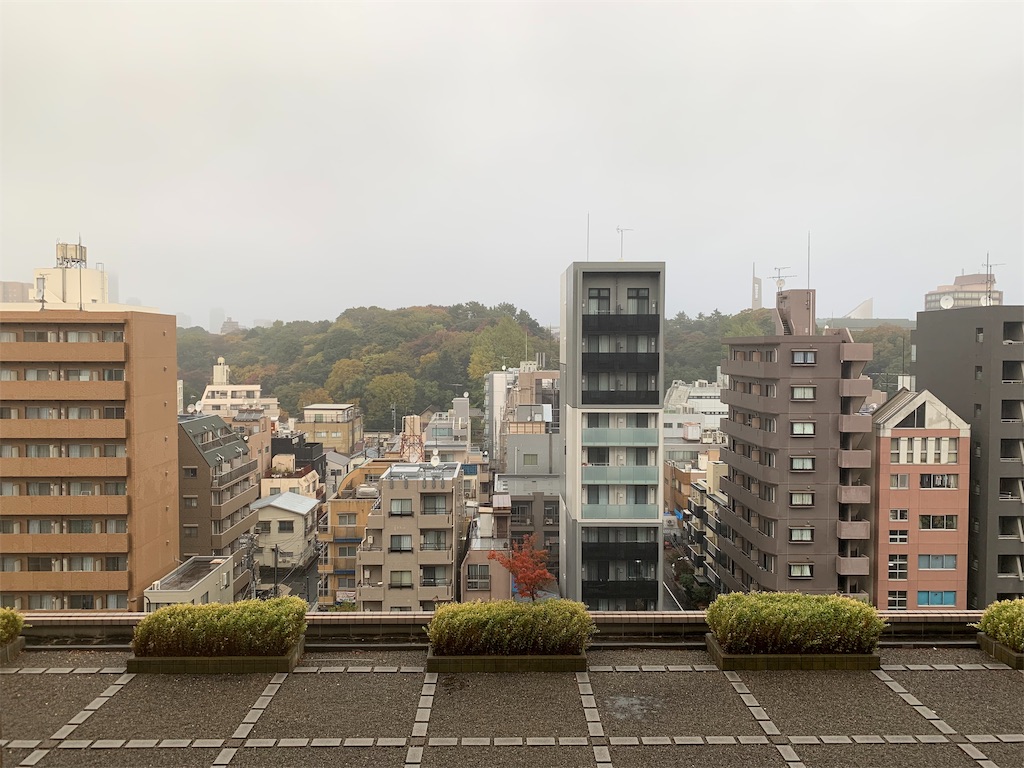 f:id:ayakokops:20191124091943j:image