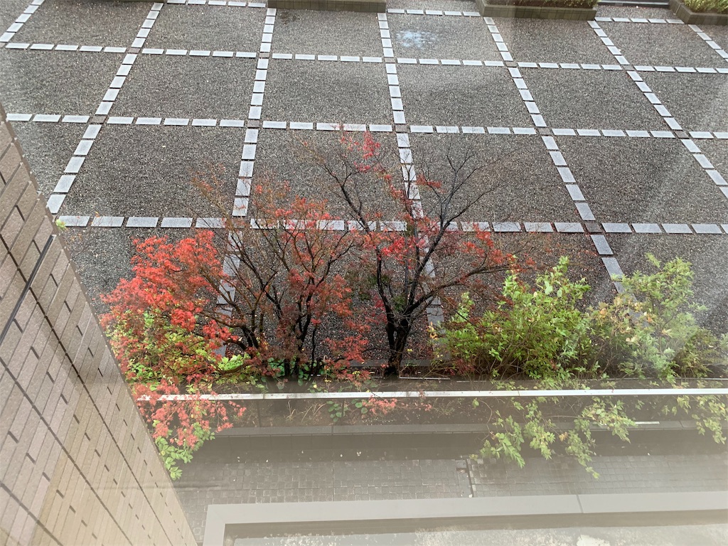 f:id:ayakokops:20191124092218j:image