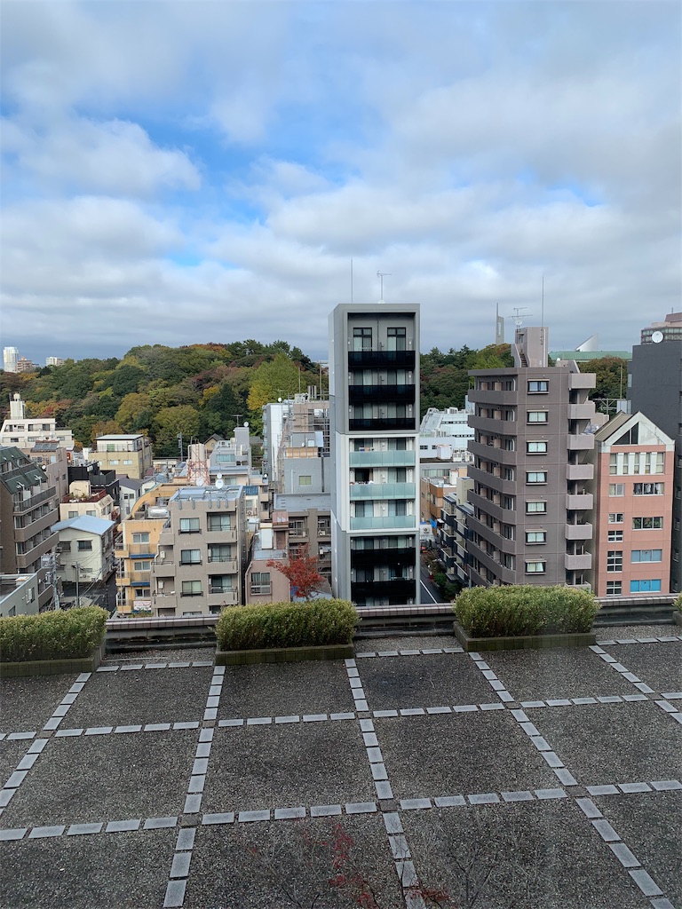 f:id:ayakokops:20191124124817j:image