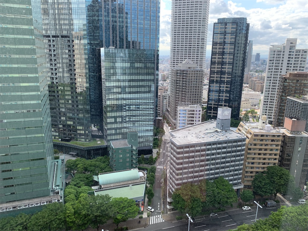 f:id:ayakokops:20200606195239j:image