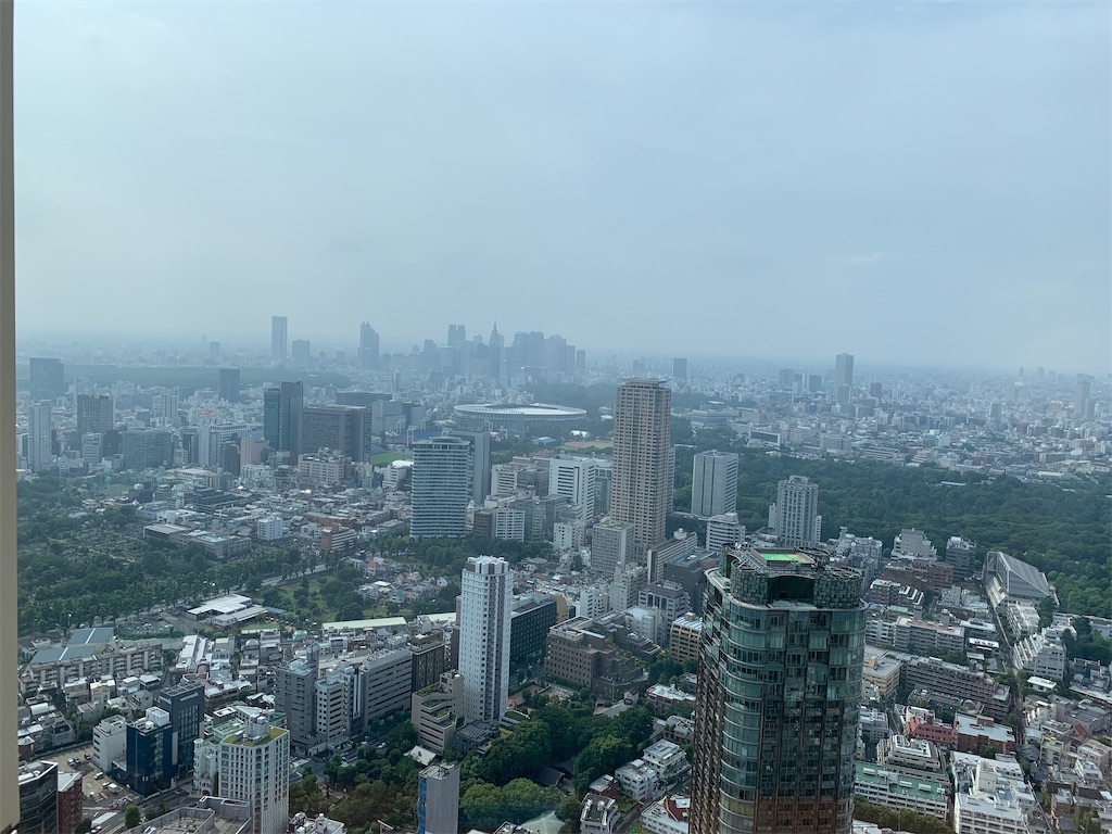 f:id:ayakokops:20200628195125j:image