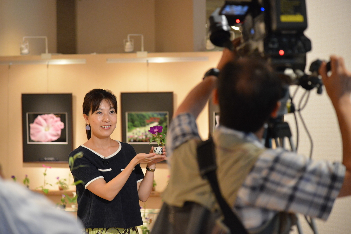 f:id:ayakonoheya:20200112173313j:plain f:id:ayakonoheya:20200112173313j:plain