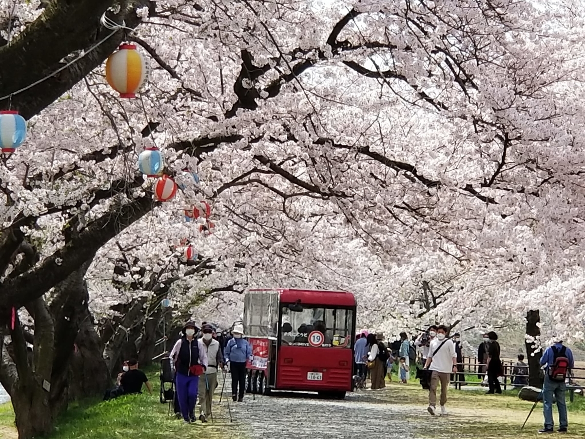 f:id:ayakonoheya:20220417194828j:plain
