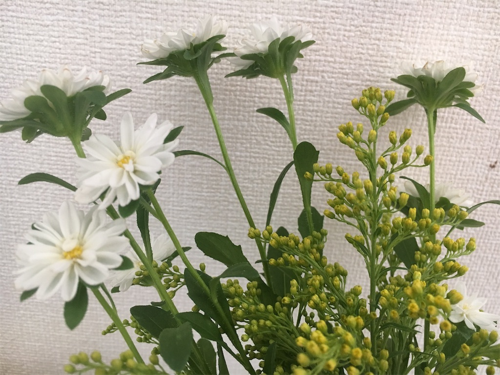 f:id:ayakoonline:20180708230013j:image f:id:ayakoonline:20180708230013j:image