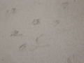 20050710140609