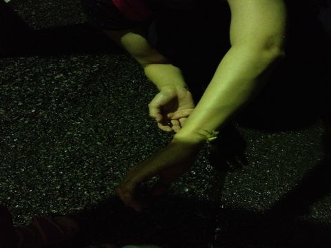 f:id:ayakov411:20120708021330j:image f:id:ayakov411:20120708021330j:image