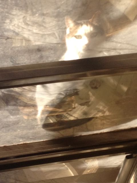 f:id:ayakov411:20131229175922j:image