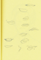 20140503085653