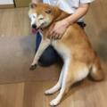 20150722112541