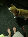 20150817130650