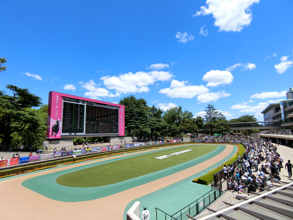 f:id:ayakoya:20180520221801j:plain