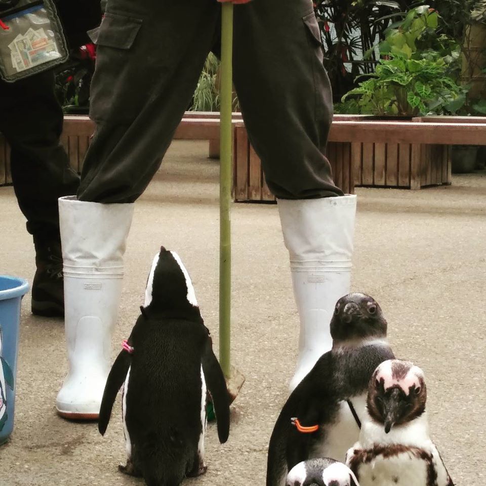 f:id:ayakufe:20191203140104j:plain