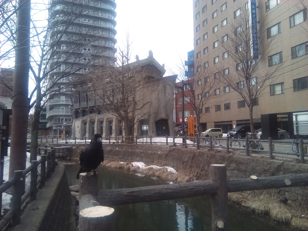 f:id:ayakufe:20201201130005j:plain