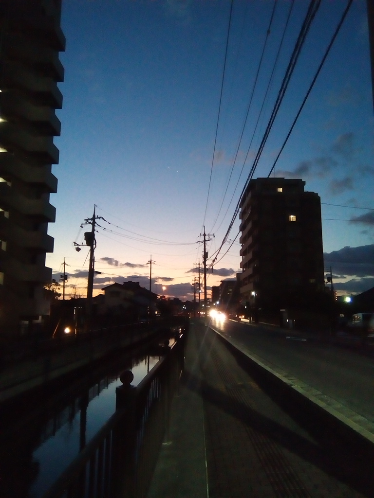 f:id:ayakufe:20201201130419j:plain