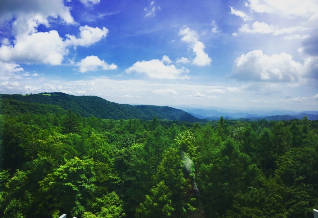 f:id:ayakume:20180818031358j:plain