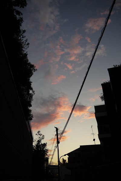 f:id:ayalaugh-tmc:20181031000405j:plain