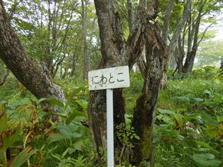 イメージ 13