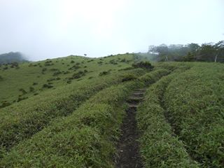 イメージ 6