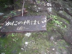 イメージ 16