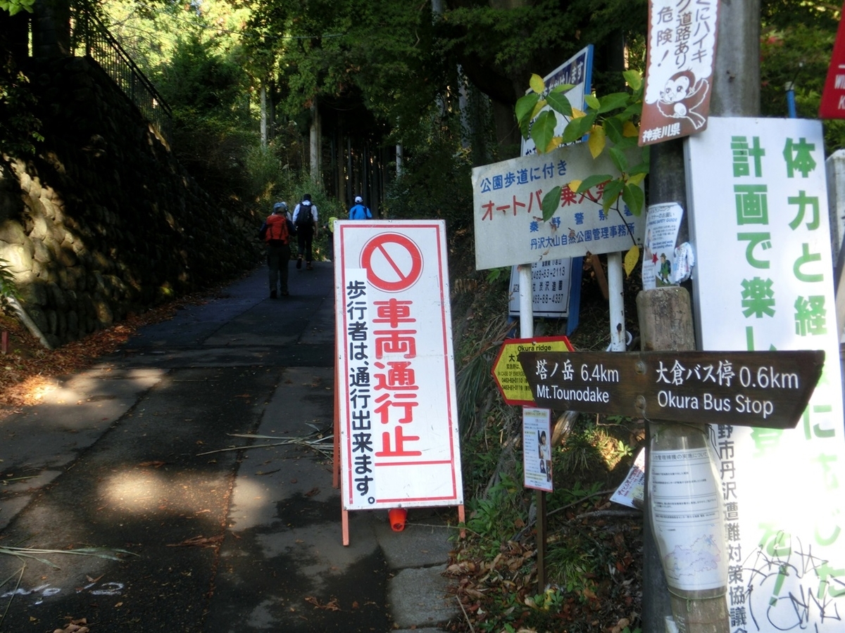 f:id:ayama_a:20201122040749j:plain