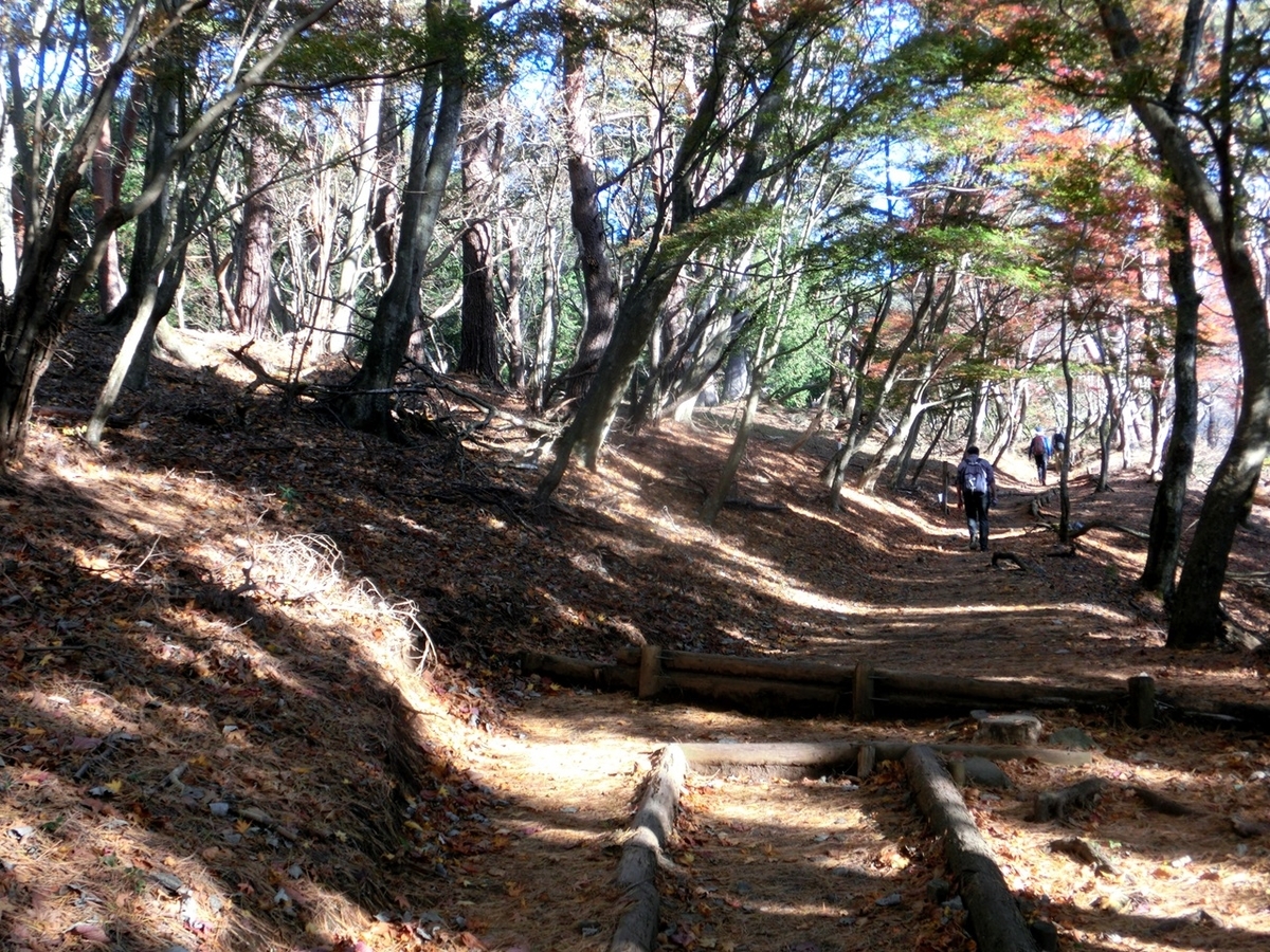f:id:ayama_a:20201122041447j:plain