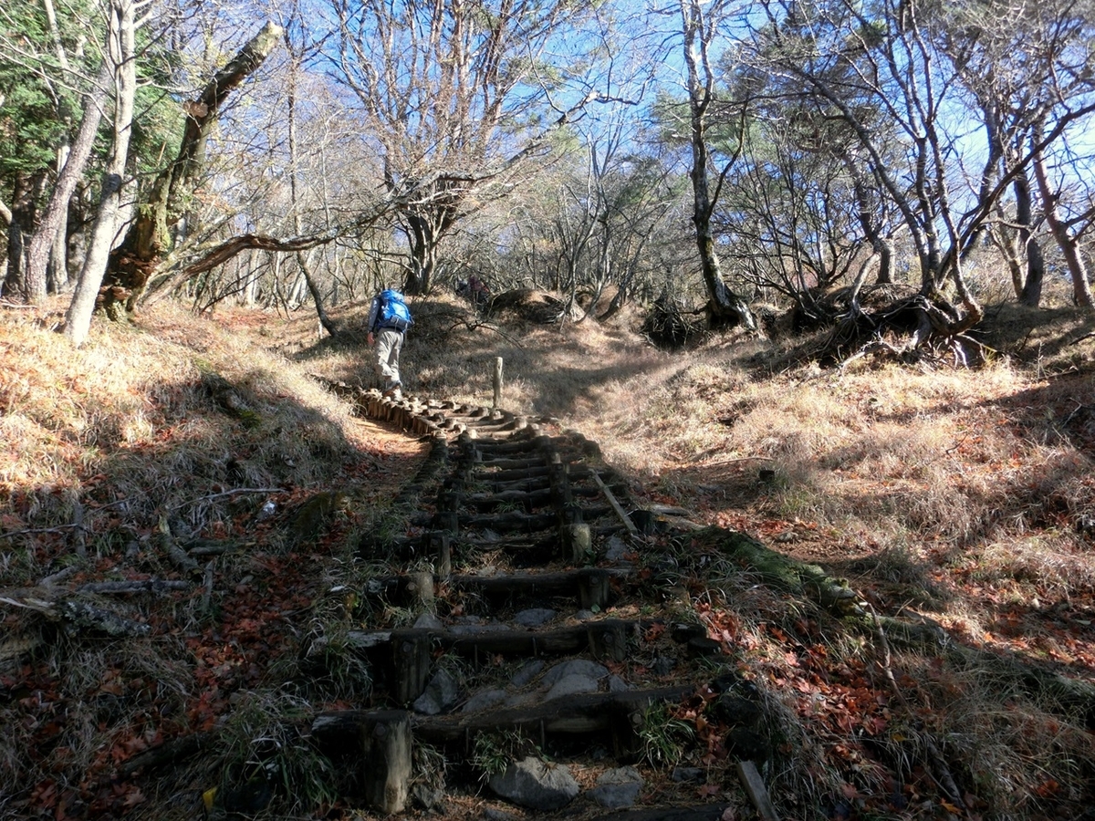 f:id:ayama_a:20201122041720j:plain