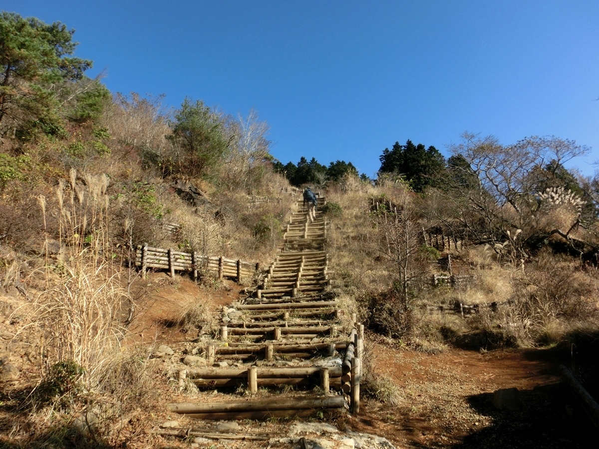 f:id:ayama_a:20201122042031j:plain