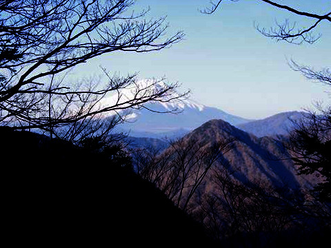 f:id:ayama_a:20210214061612j:plain