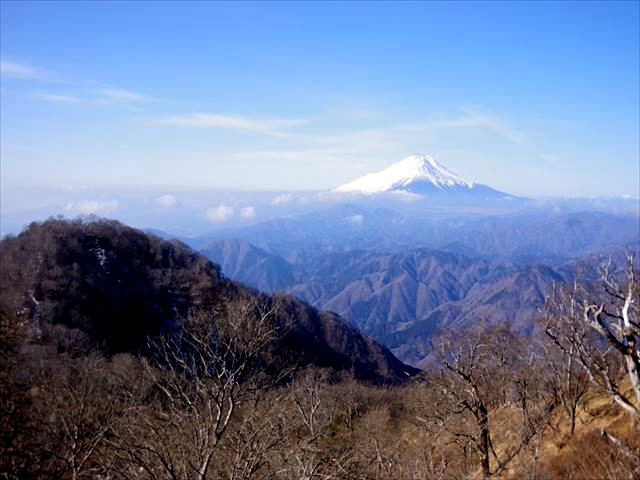 f:id:ayama_a:20210214062607j:plain