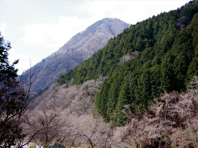 f:id:ayama_a:20210214063429j:plain