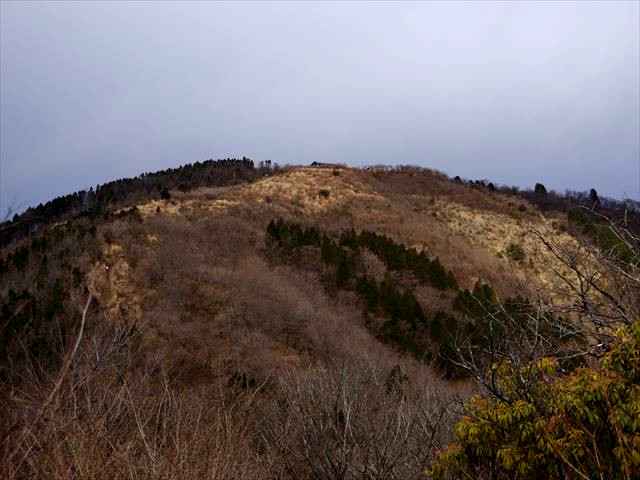 f:id:ayama_a:20220104203919j:plain