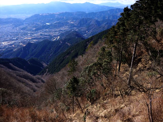 f:id:ayama_a:20220104205116j:plain