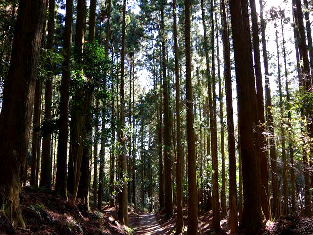 f:id:ayama_a:20220104205936j:plain