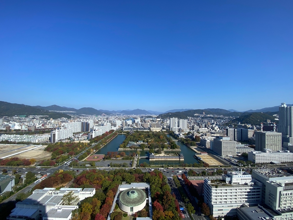 f:id:ayamaruchan:20201123165459j:plain