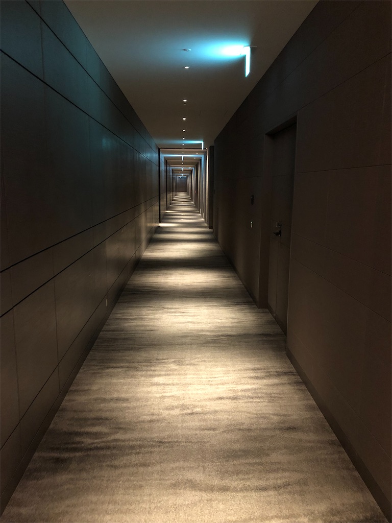 f:id:ayamaruchan:20220121210508j:image