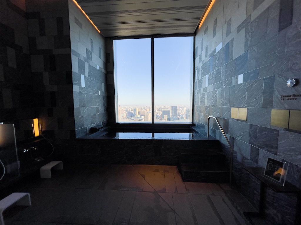 f:id:ayamaruchan:20220121212904j:image