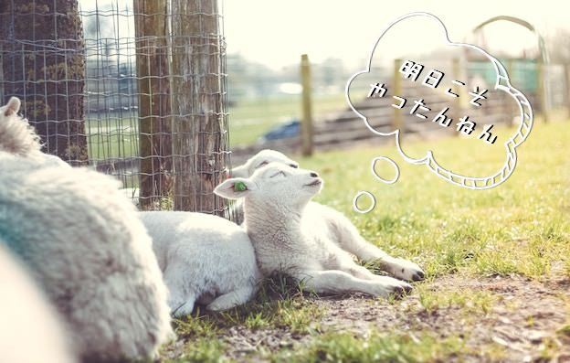 f:id:ayame253:20180505181647j:plain f:id:ayame253:20180505181647j:plain
