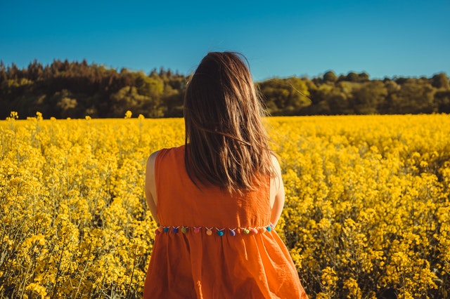 f:id:ayamenokasa:20210905170240j:plain