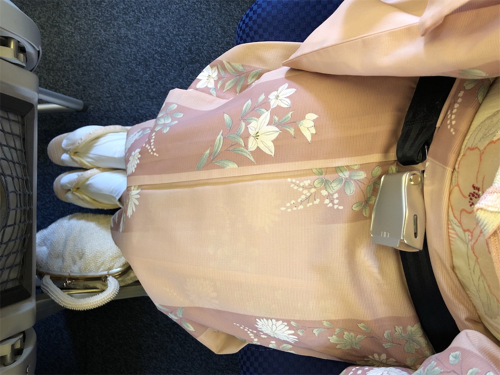 f:id:ayamin-t-kimono:20200724140336j:image