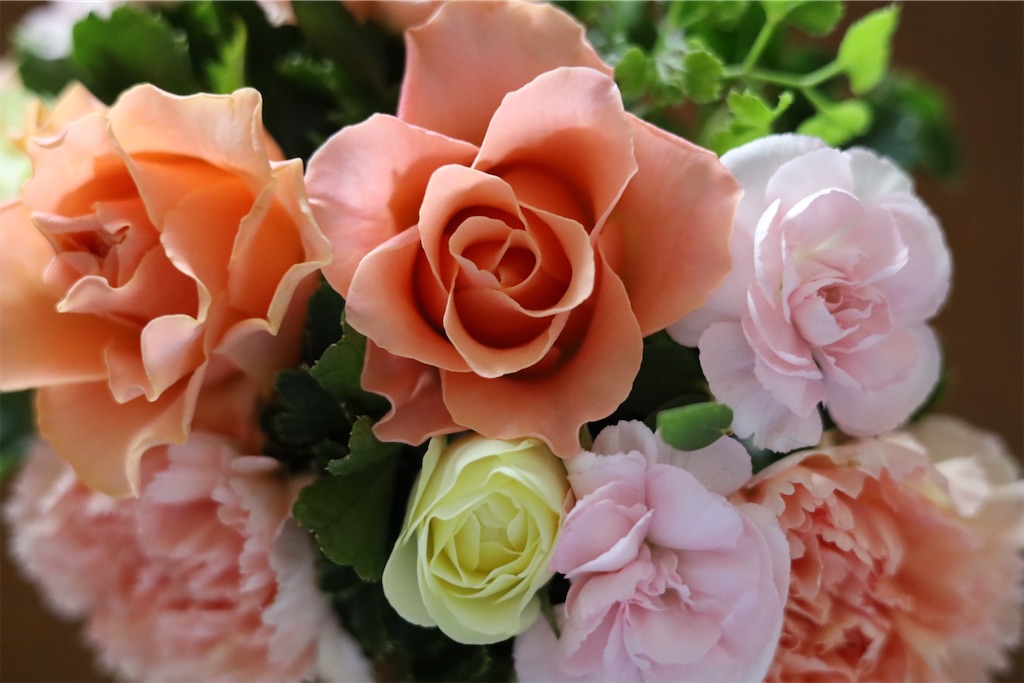 f:id:ayan_no0:20221021114711j:image