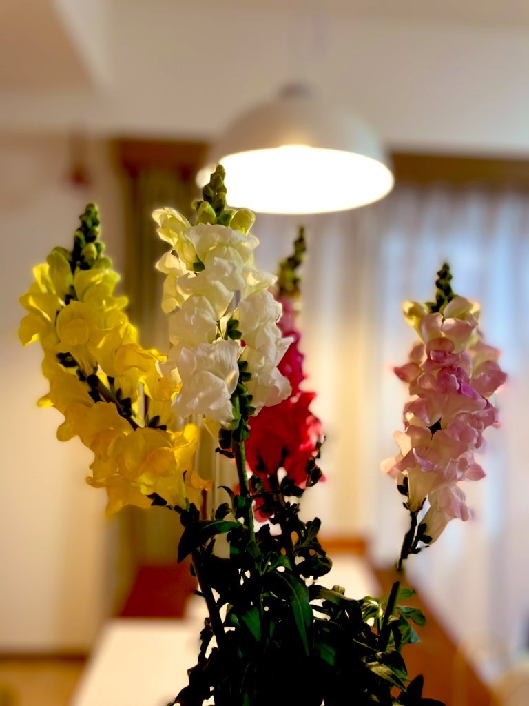 f:id:ayan_no0:20221110192339j:image