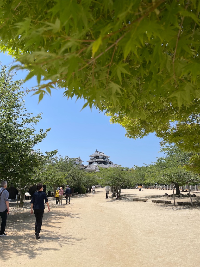 f:id:ayan_no0:20230519200411j:image