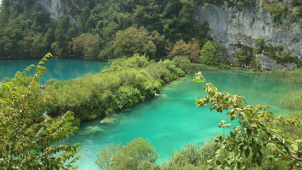 f:id:ayano585817:20170729025444j:plain f:id:ayano585817:20170729025444j:plain