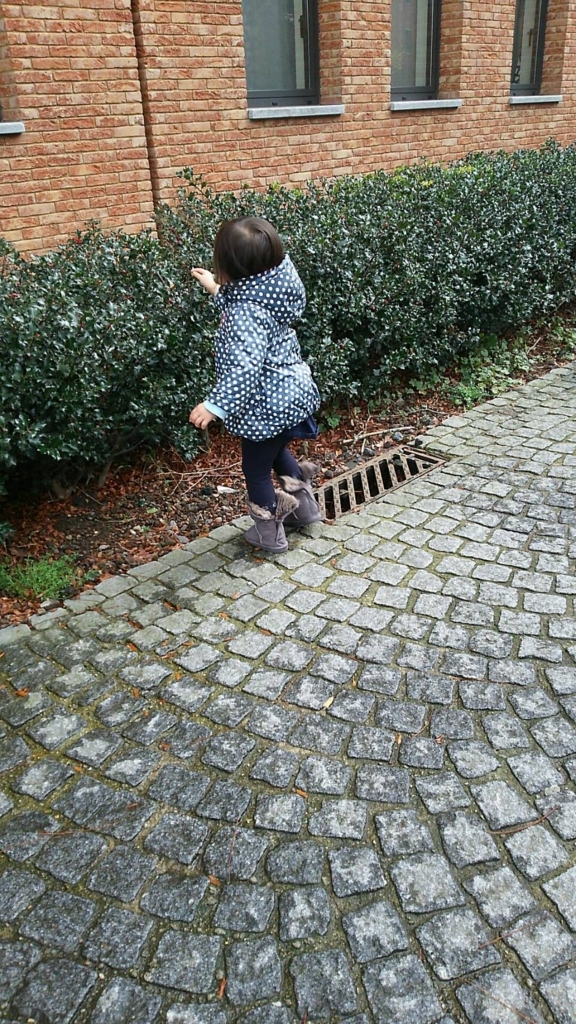 f:id:ayano585817:20171012233641j:plain