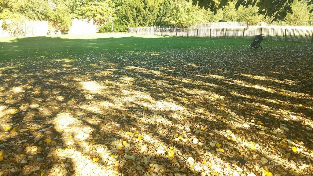 f:id:ayano585817:20171201101828j:plain