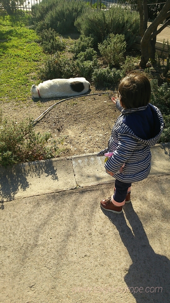 f:id:ayano585817:20180423194537j:plain f:id:ayano585817:20180423194537j:plain